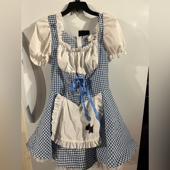 Blue and White Dorothy dress - Picture 1 of 3